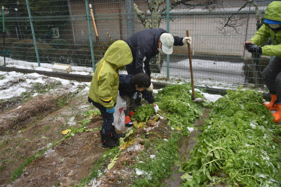 高野町学びの教室　②「農業体験」